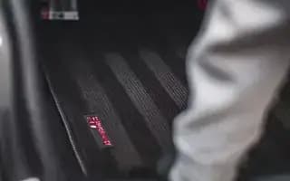 Tierhaare Entfernen - Bild 2