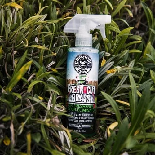 Chemical Guys Fresh Cut Grass Lufterfrischer 3